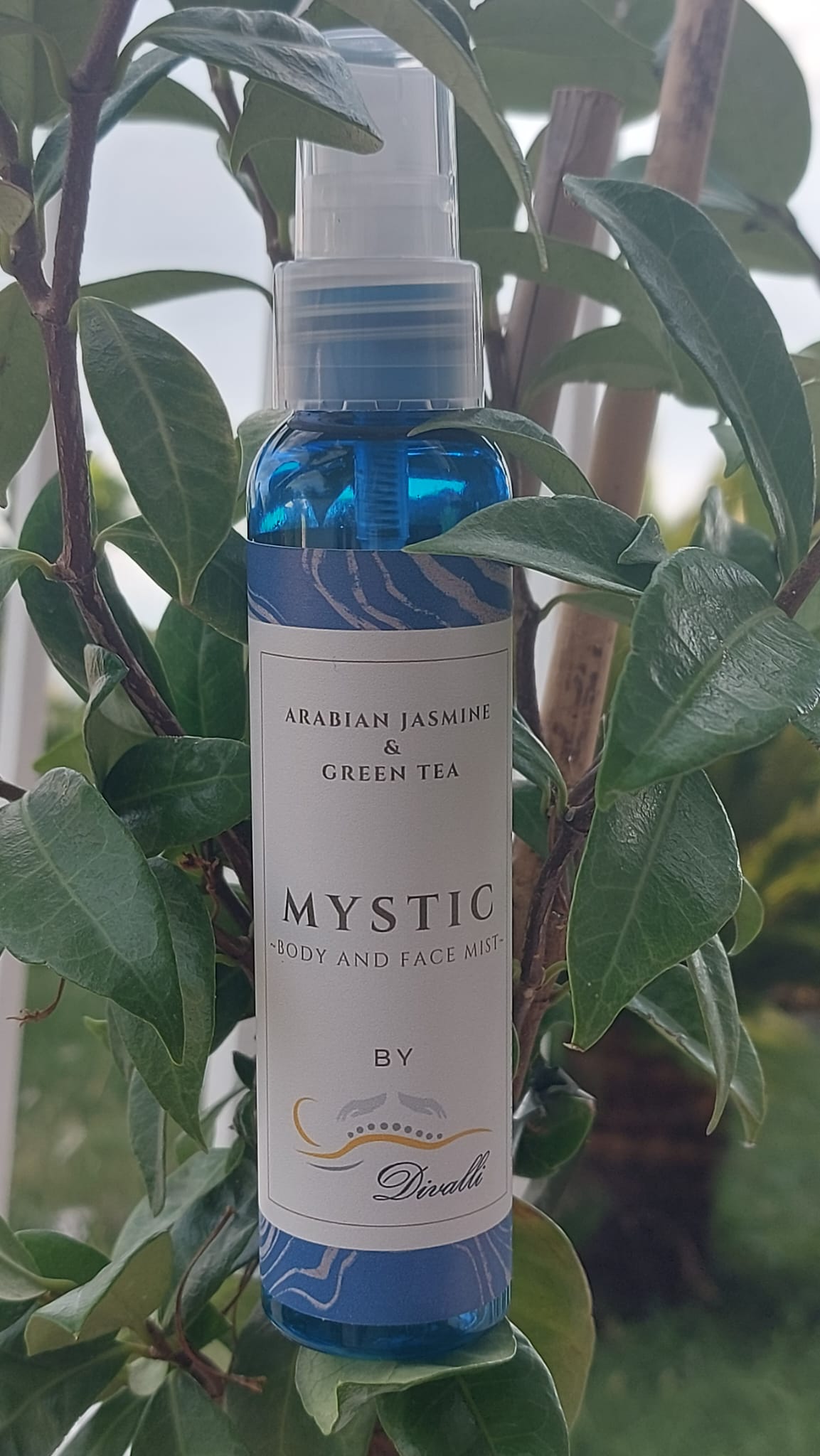 Read more about the article MYSTIC – jasmin, zeleni čaj